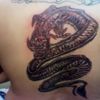 KazeLoon