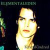 Kinetikindred