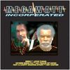 Megawatt Incorperated