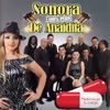Sonora 100% Puro de Anaidita