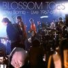 Blossom Toes