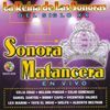 Various Artists
