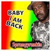 Sprangyrankin