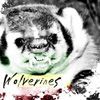 The Wolverines