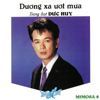Duc Huy