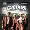 Los Gatos de Sinaloa