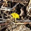 Remember Our Story Eternally