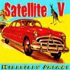 Satellite V