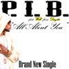 P.I.B.