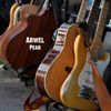 Arwel