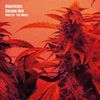 Dubateers/Colour Red