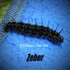 Zeber