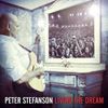 Peter Stefanson