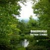 Bongomaniac