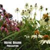 Wayne Brainn