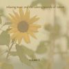 Music For Meditation & Relaxation 