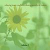 Music For Meditation & Relaxation 