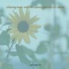 Music For Meditation & Relaxation 