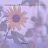 Music For Meditation & Relaxation 