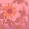 Music For Meditation & Relaxation 