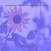 Music For Meditation & Relaxation 