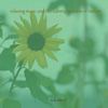 Music For Meditation & Relaxation
