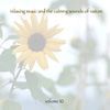 Music For Meditation & Relaxation