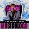 Musicologo
