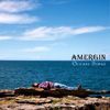 Amergin