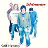 Skimmer