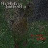 Psychedelic Synesthesia