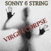 Sonny 6 String