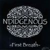 N'Didgenous