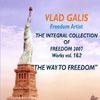 Vlad Galis