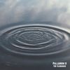 Palladium 8