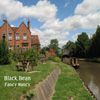 Black Bean