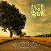In The Long Run