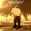 Kevifigas