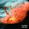 Liz Evans