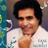 Hooshmand Aghili