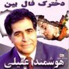 Hooshmand Aghili
