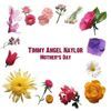 Timmy Angel Naylor