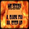 Mr Seedy