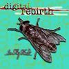 Digital Rebirth