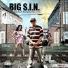 Big S.i.n