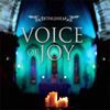 Voice Of Joy