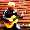 Michael Willow