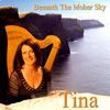 Tina Mulrooney