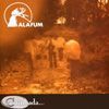 Alafum