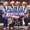 Los Zafiros Del Norte